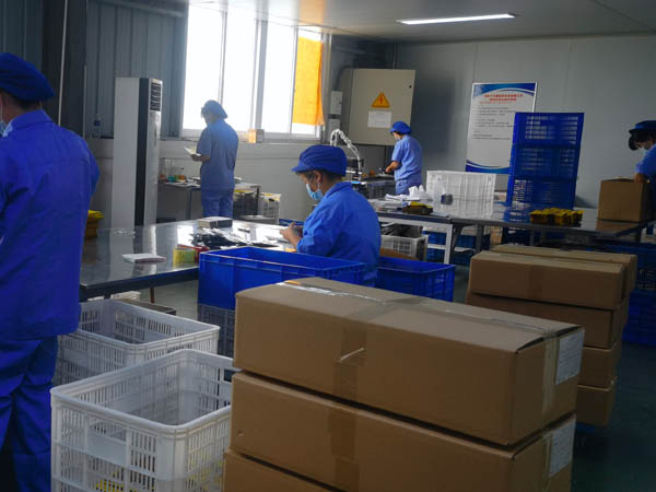 哪里有膏藥加工廠？膏藥貼牌廠家哪家好？